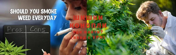 марки lsd Бородино