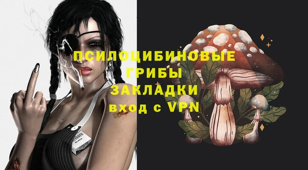 марки lsd Бородино