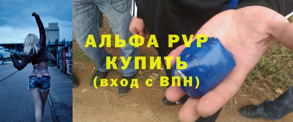 марки lsd Бородино